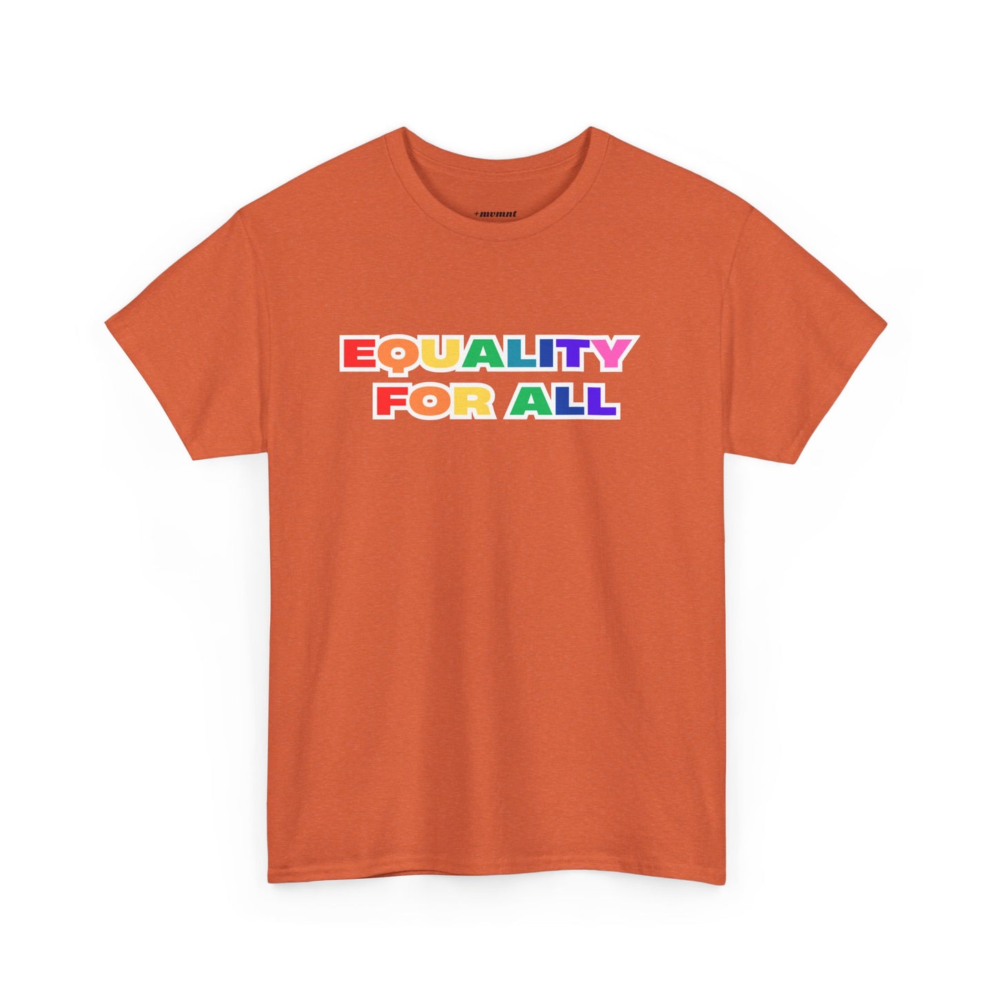 Unisex Equality Statement Tee, Pride Shirt, LGBTQ+ Apparel, Equality For All Top, Casual Unisex T-Shirt, Gift for Activists